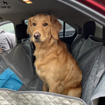 Waterproof Non-Slip Car Seat Hammock Cover