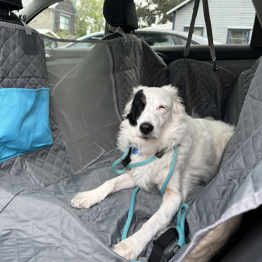 Waterproof Non-Slip Car Seat Hammock Cover