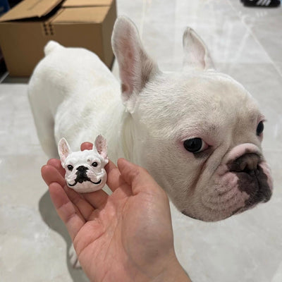 Custom-Engraved Magnetic Pet Figurine